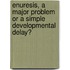 Enuresis, a major problem or a simple developmental delay?