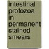 Intestinal protozoa in permanent stained smears