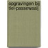 Opgravingen bij Tiel-Passewaaij