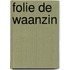 Folie de waanzin