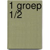 1 groep 1/2 by R. Hoogland-Pitsma