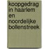 Koopgedrag in Haarlem en noordelijke Bollenstreek