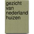 Gezicht van nederland huizen