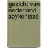 Gezicht van nederland spykenisse