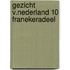 Gezicht v.nederland 10 franekeradeel