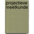 Projectieve meetkunde