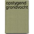 Opstygend grondvocht