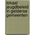 Lokaal jeugdbeleid in Gelderse gemeenten
