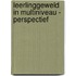 Leerlinggeweld in multiniveau - perspectief