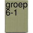 Groep 6-1