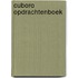 Cuboro opdrachtenboek
