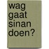Wag gaat Sinan doen?