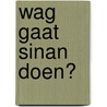 Wag gaat Sinan doen? door Dagmar Stam