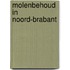 Molenbehoud in Noord-Brabant