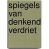 Spiegels van denkend verdriet door Jim Jacobs