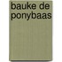 Bauke de ponybaas