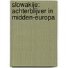 Slowakije: achterblijver in Midden-Europa by J.W. van der Meulen