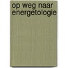 Op weg naar energetologie door Kamst