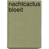 Nachtcactus bloeit by Kuik