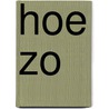 Hoe zo by Inez van Eyk