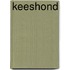 Keeshond