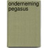 Onderneming pegasus