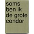 Soms ben ik de grote condor