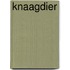 Knaagdier