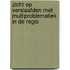 Zicht op verslaafden met multiproblematiek in de regio