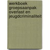 Werkboek groepsaanpak overlast en jeugdcriminaliteit door R. Veenbaas