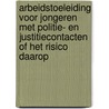 Arbeidstoeleiding voor jongeren met politie- en justitiecontacten of het risico daarop by R.H. Venbaas