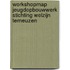 Workshopmap jeugdopbouwwerk stichting welzijn Terneuzen
