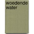 Woedende water