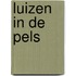 Luizen in de pels