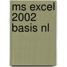 MS Excel 2002 Basis NL door Broekhuis Publishing