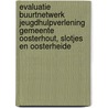 Evaluatie buurtnetwerk jeugdhulpverlening gemeente Oosterhout, Slotjes en Oosterheide door A. van der Borst