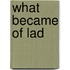 What became of lad