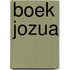 Boek jozua