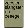 Zeester slangster en zeeegel door Onbekend