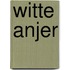 Witte anjer