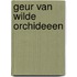 Geur van wilde orchideeen