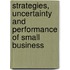 Strategies, uncertainty and performance of small business