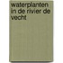 Waterplanten in de rivier de Vecht