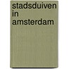 Stadsduiven in Amsterdam door Onbekend