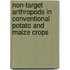 Non-target arthropods in conventional potato and maize crops