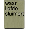 Waar liefde sluimert by G. Bockoven