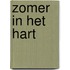 Zomer in het hart