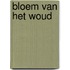 Bloem van het woud