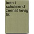 Toen t schuimend zeenat hevig br.