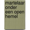 Martelaar onder een open hemel by Johan Poort